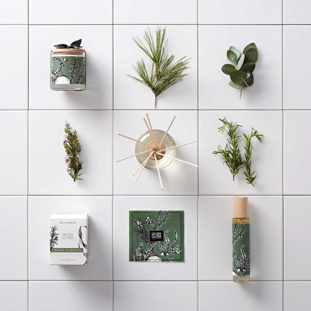 DIFUSOR FRAGANCIA, Paseo Silvestre - 100ML.